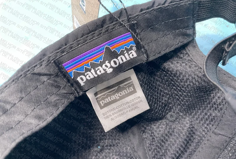 Patagonia Cap 6
