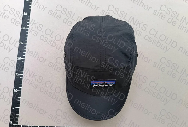 Patagonia Cap 2