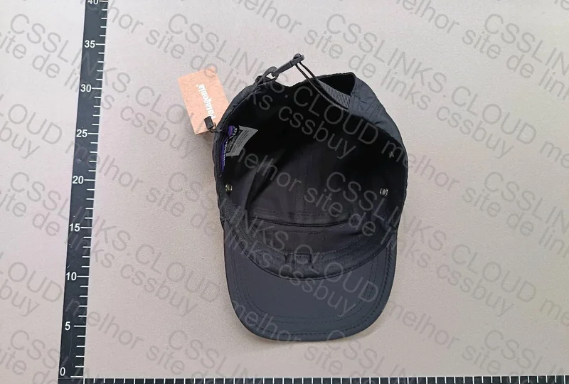 Patagonia Cap 3
