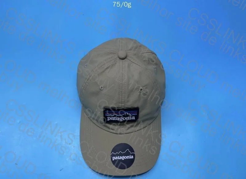 Patagonia Cap
