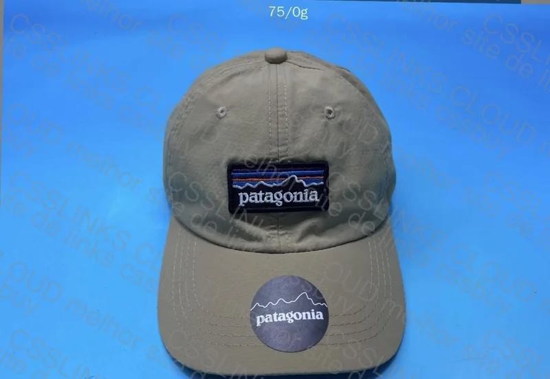 Patagonia Cap 2