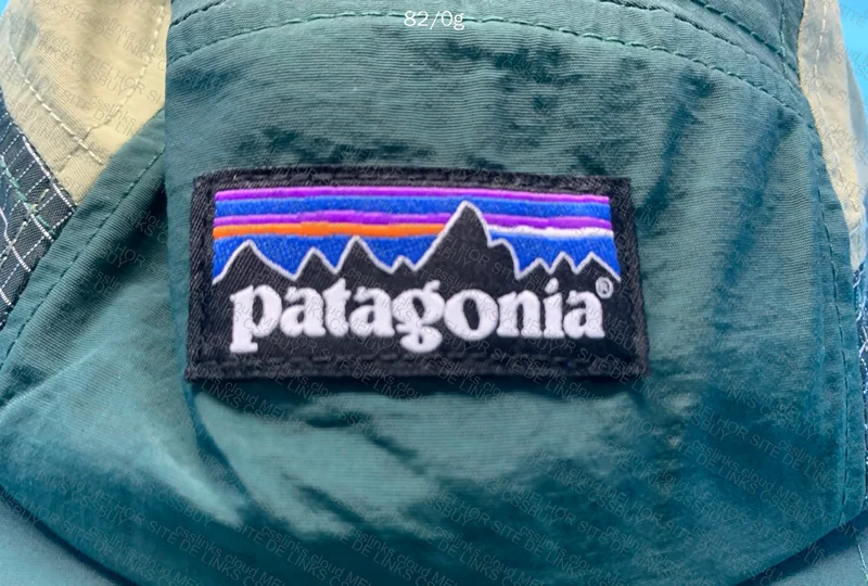 Patagonia Cap