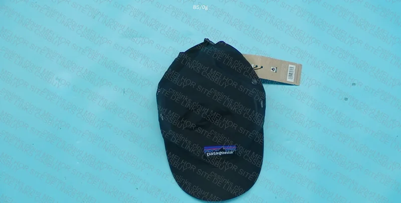 Patagonia Cap 3