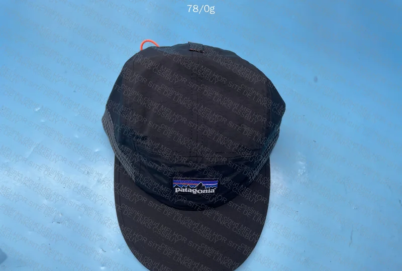 Patagonia Cap