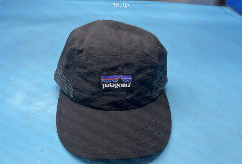 Patagonia Cap 2