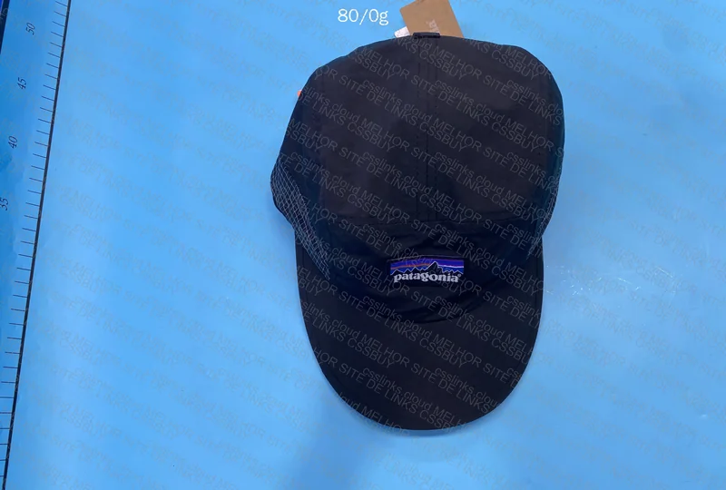 Patagonia Cap