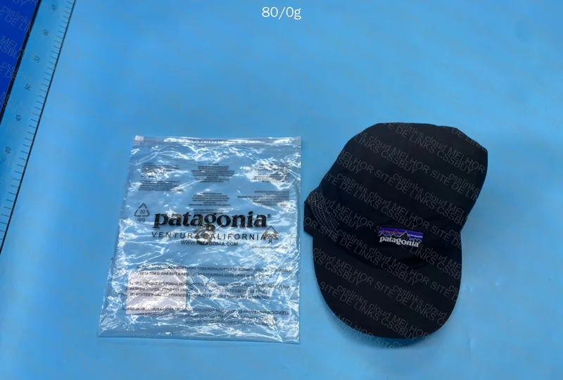 Patagonia Cap 2