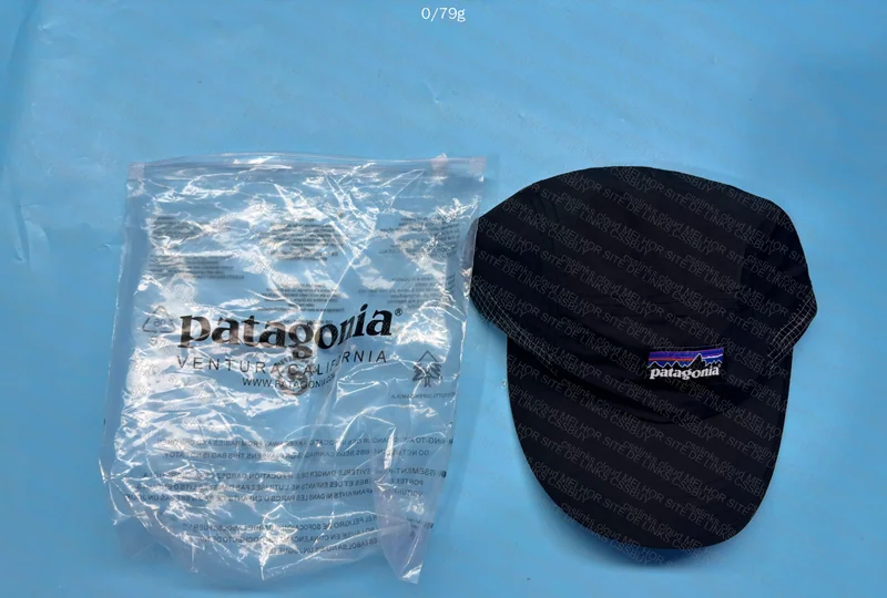 Patagonia Cap