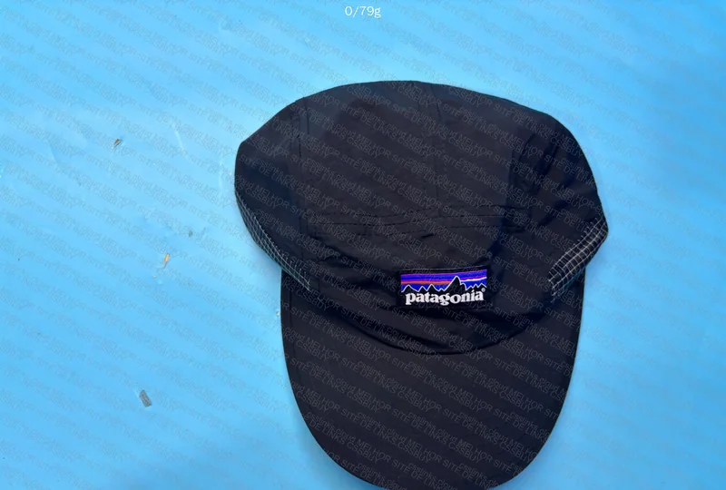 Patagonia Cap 3