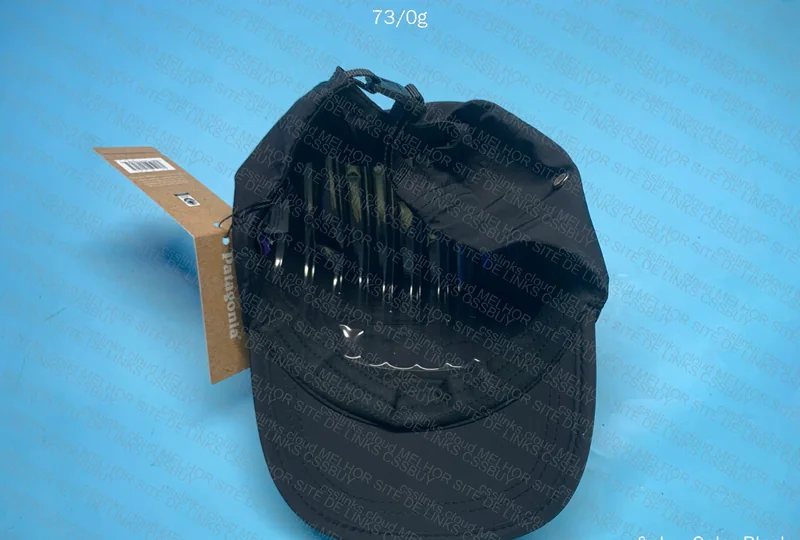 Patagonia Cap