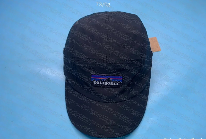 Patagonia Cap 2