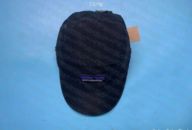 Patagonia Cap 3