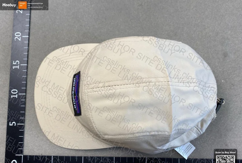 Patagonia Cap