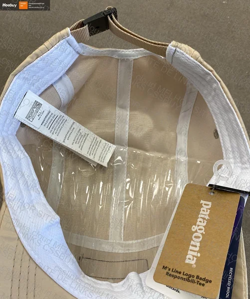 Patagonia Cap 2