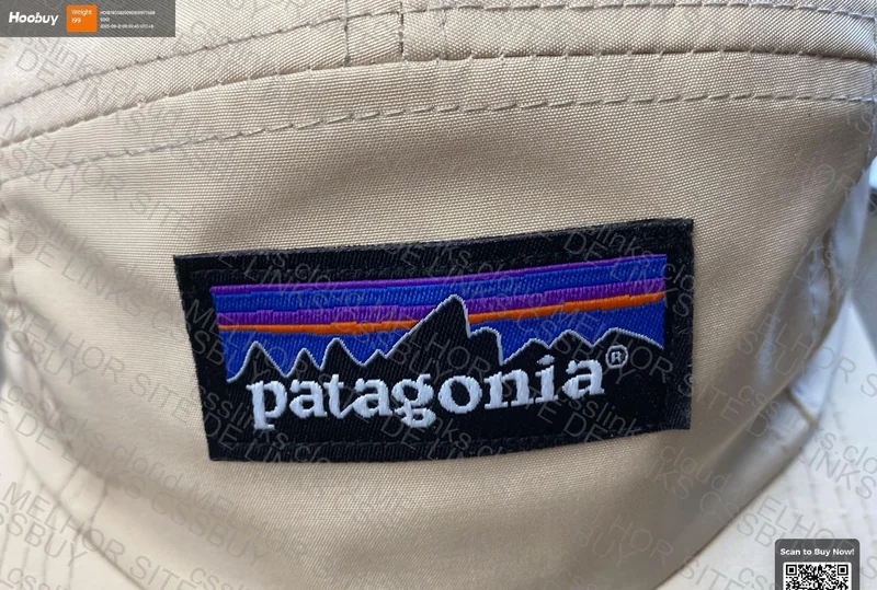 Patagonia Cap 3
