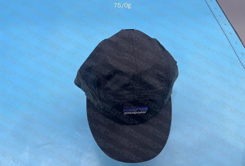 Patagonia Cap