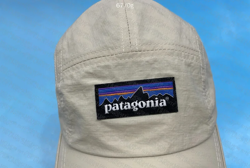Patagonia Cap