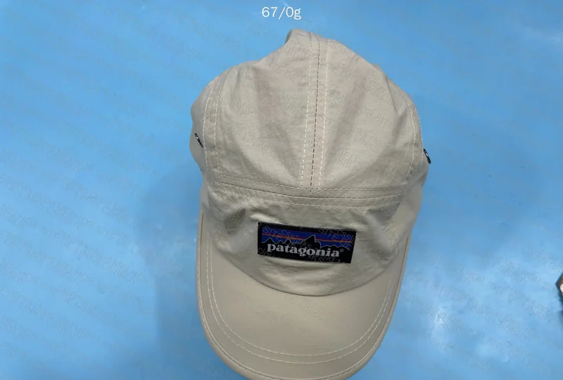 Patagonia Cap 2