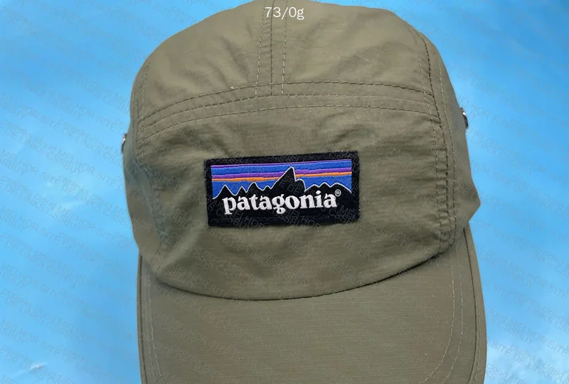 Patagonia Cap