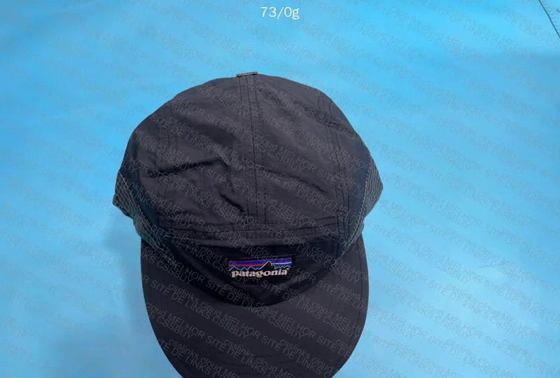 Patagonia Cap