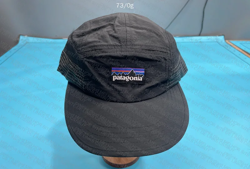 Patagonia Cap 2