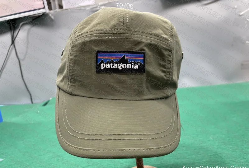 Patagonia Cap