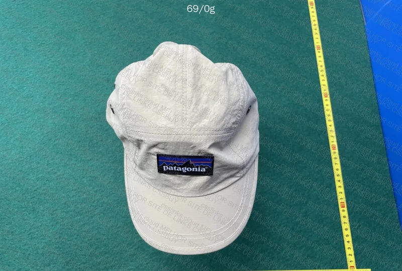 Patagonia Cap