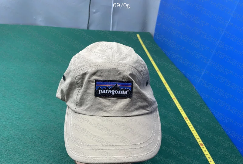 Patagonia Cap 2