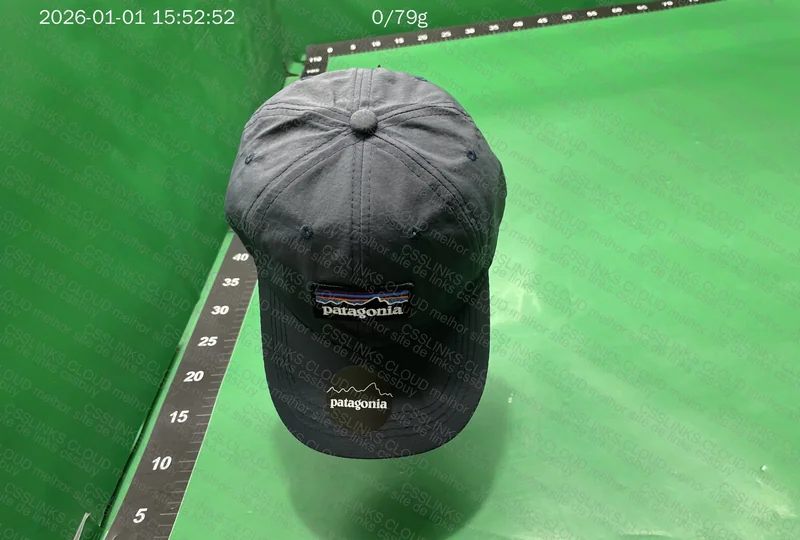 Patagonia "Dad Hat" Cap 2