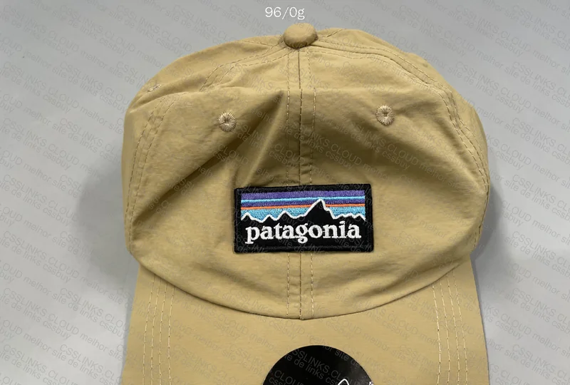 Patagonia Khaki Cap 2