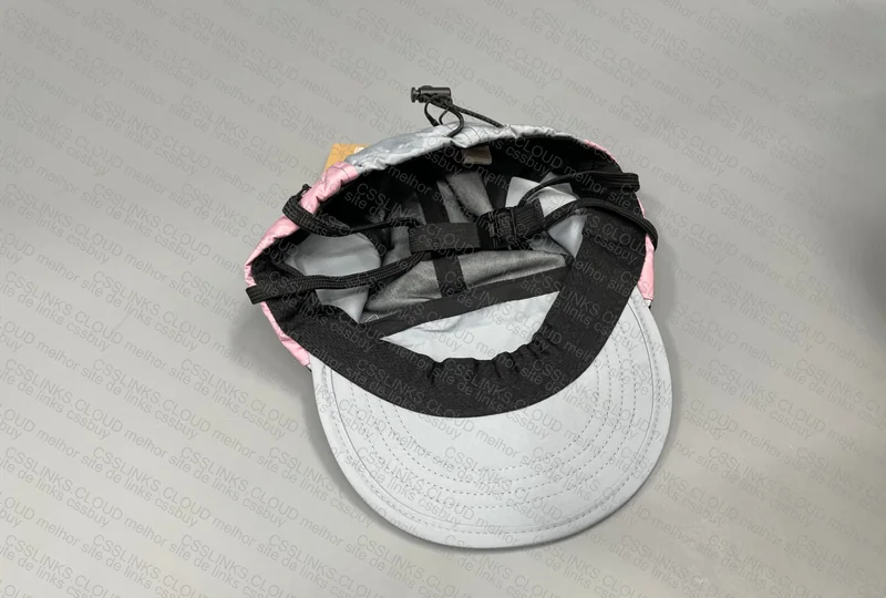Patagonia Pink Striped Cap 2