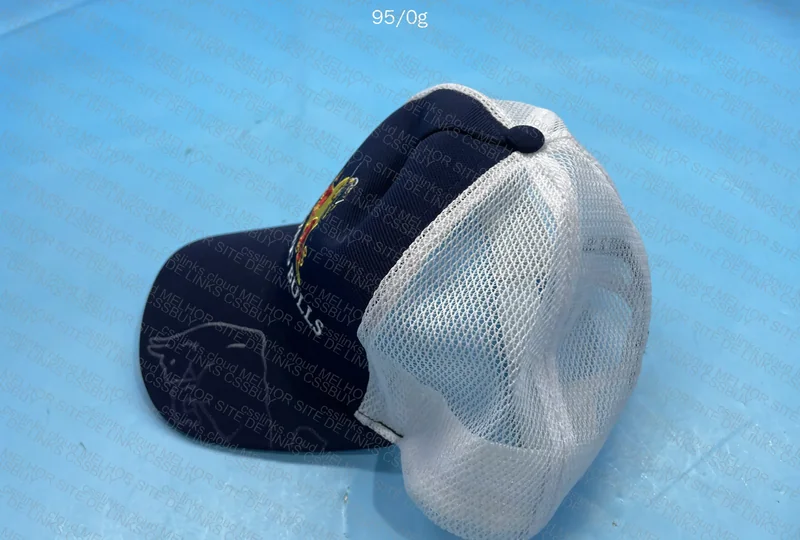Red Bull The Flying Bulls Cap 2