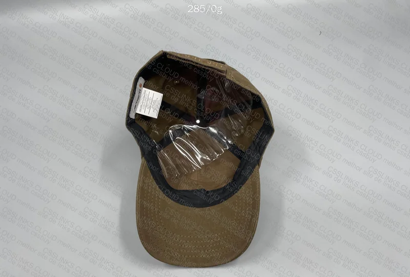 Carhartt Caps 5