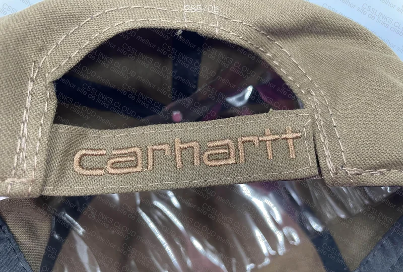 Carhartt Caps 6