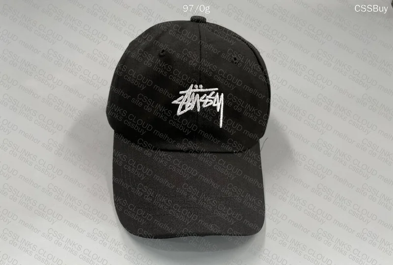 Stussy Caps 2