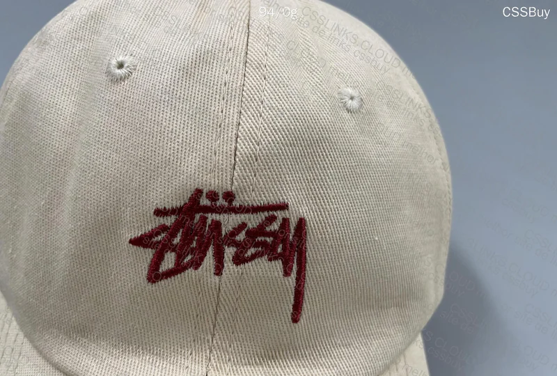 Stussy Caps 3