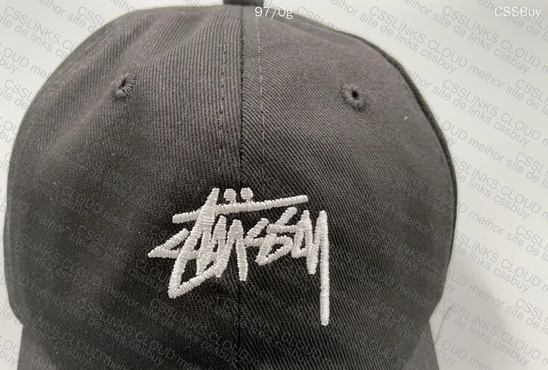 Stussy Caps 4