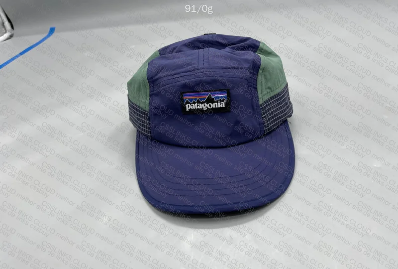 Patagonia Cap