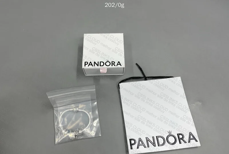 Silver Pandora Bracelet