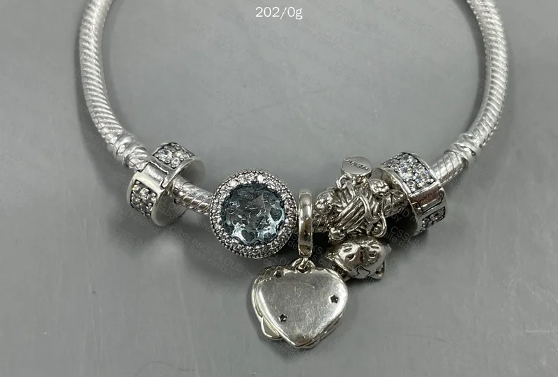 Silver Pandora Bracelet 3