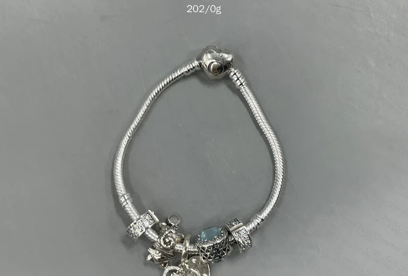 Silver Pandora Bracelet 5