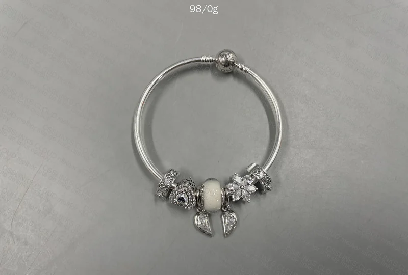 Pandora Bracelet + Charms 2