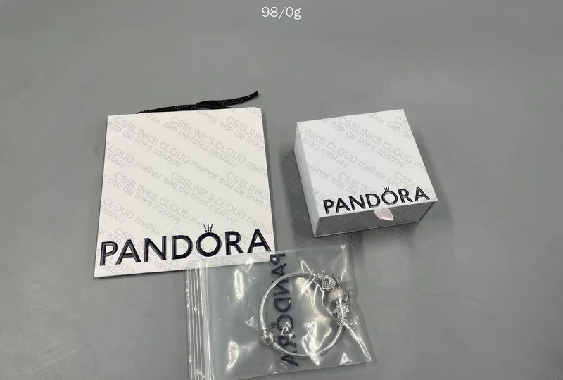 Pandora Bracelet + Charms 3