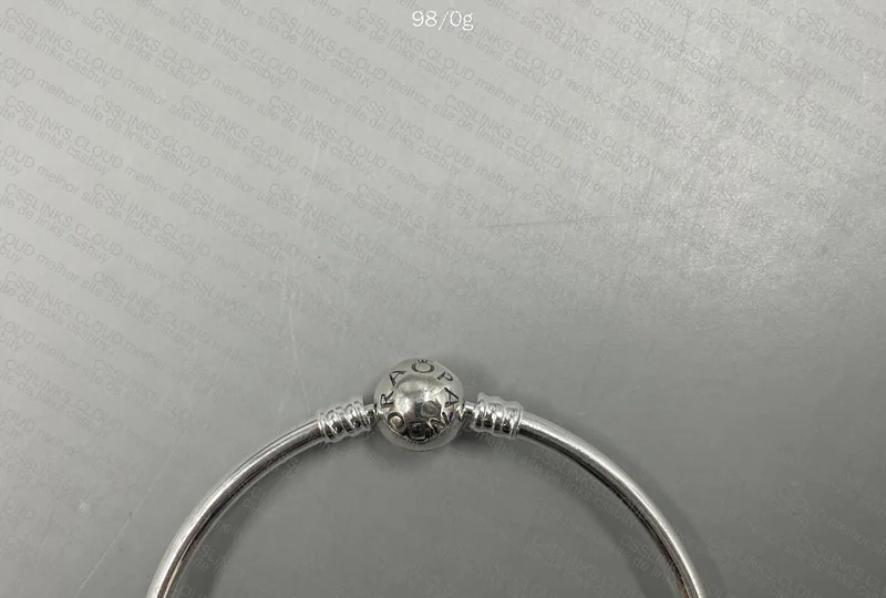 Pandora Bracelet + Charms 4