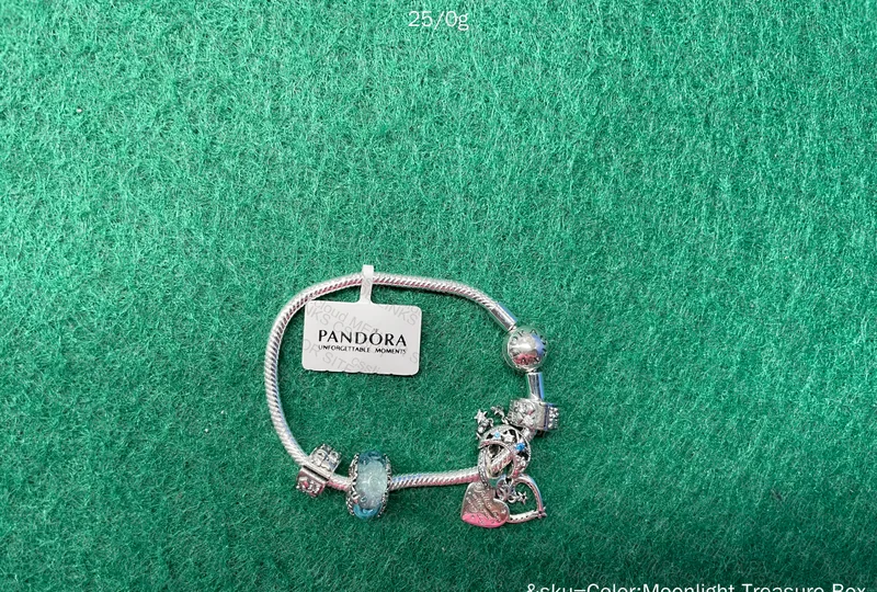 Pandora Bracelet 3