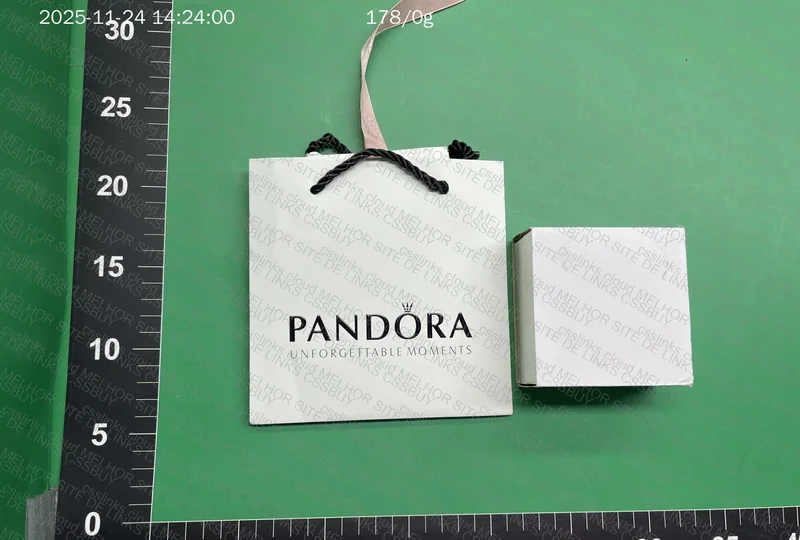 Pandora Bracelet 3