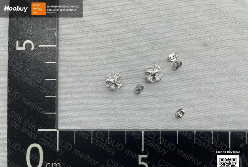 Brinco Chrome Hearts