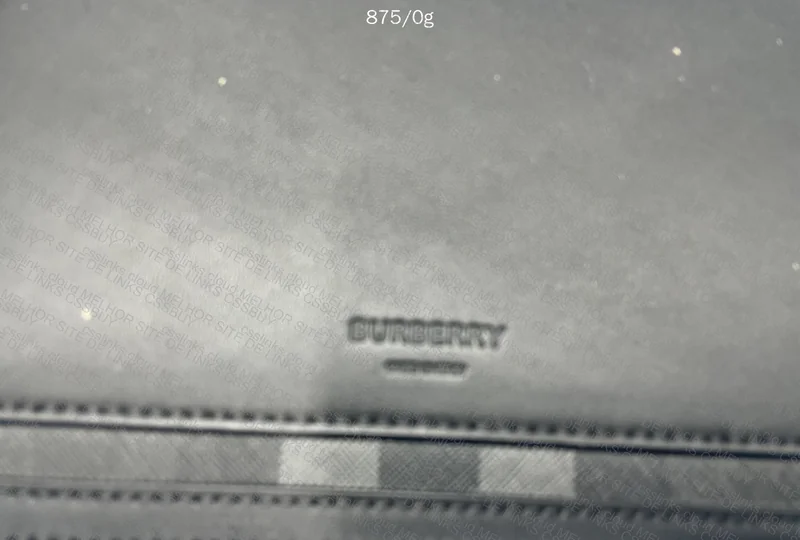 Burberry Bag 5