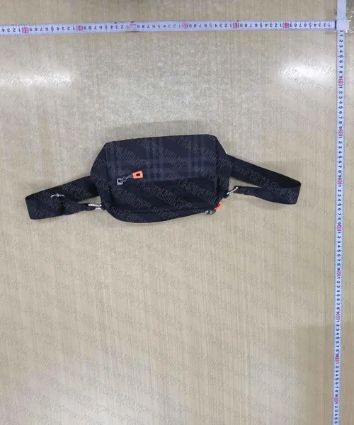 BURBERRY BAG 2