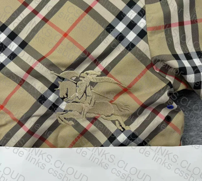 Burberry reversible 1:1 5